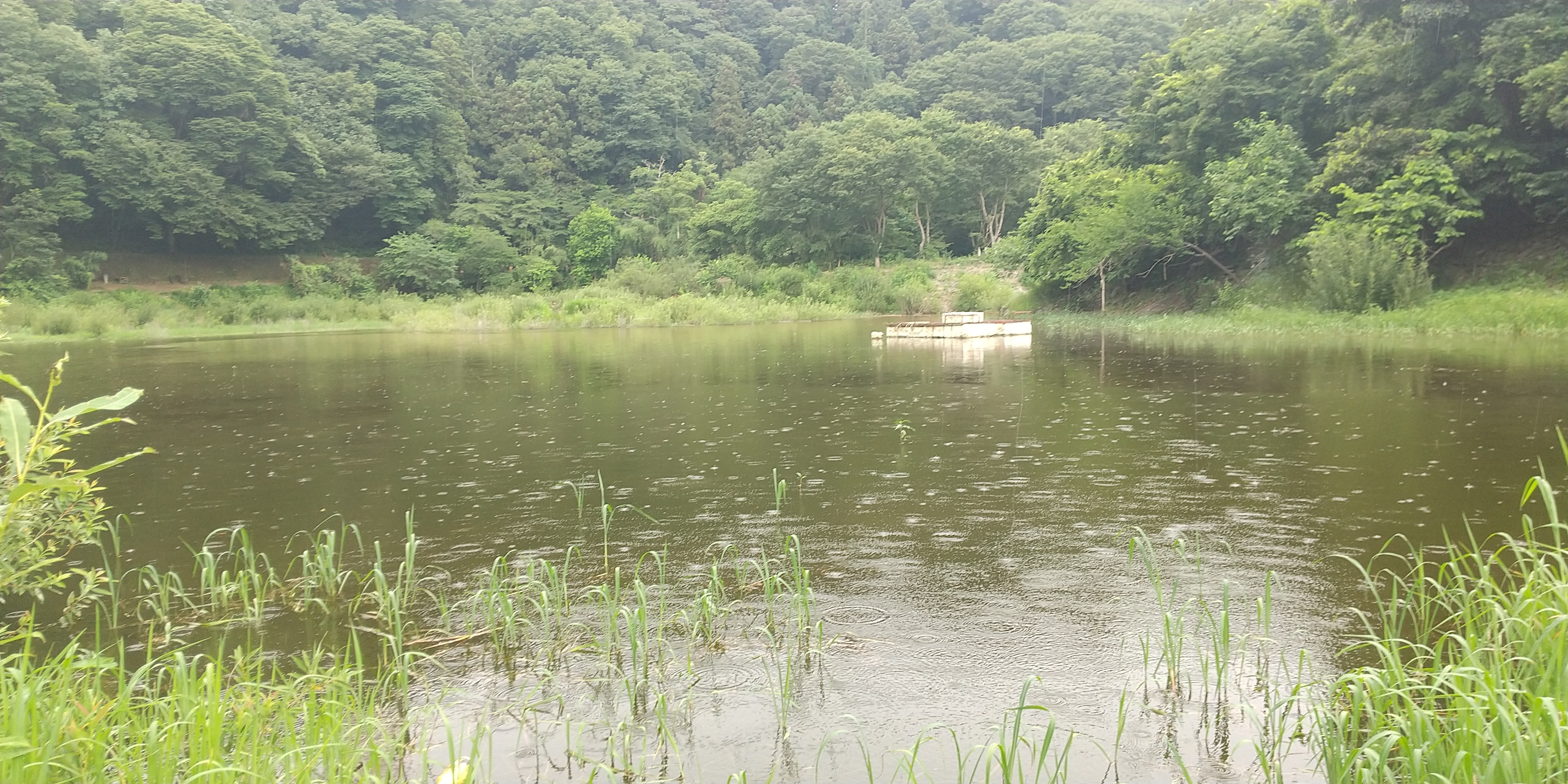 津久井湖／沼本ワンド: 建築士☆さる課長チャンネル