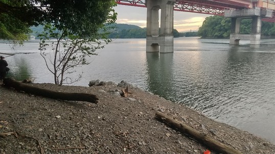 津久井湖／沼本ワンド～爆釣！: 建築士☆さる課長チャンネル